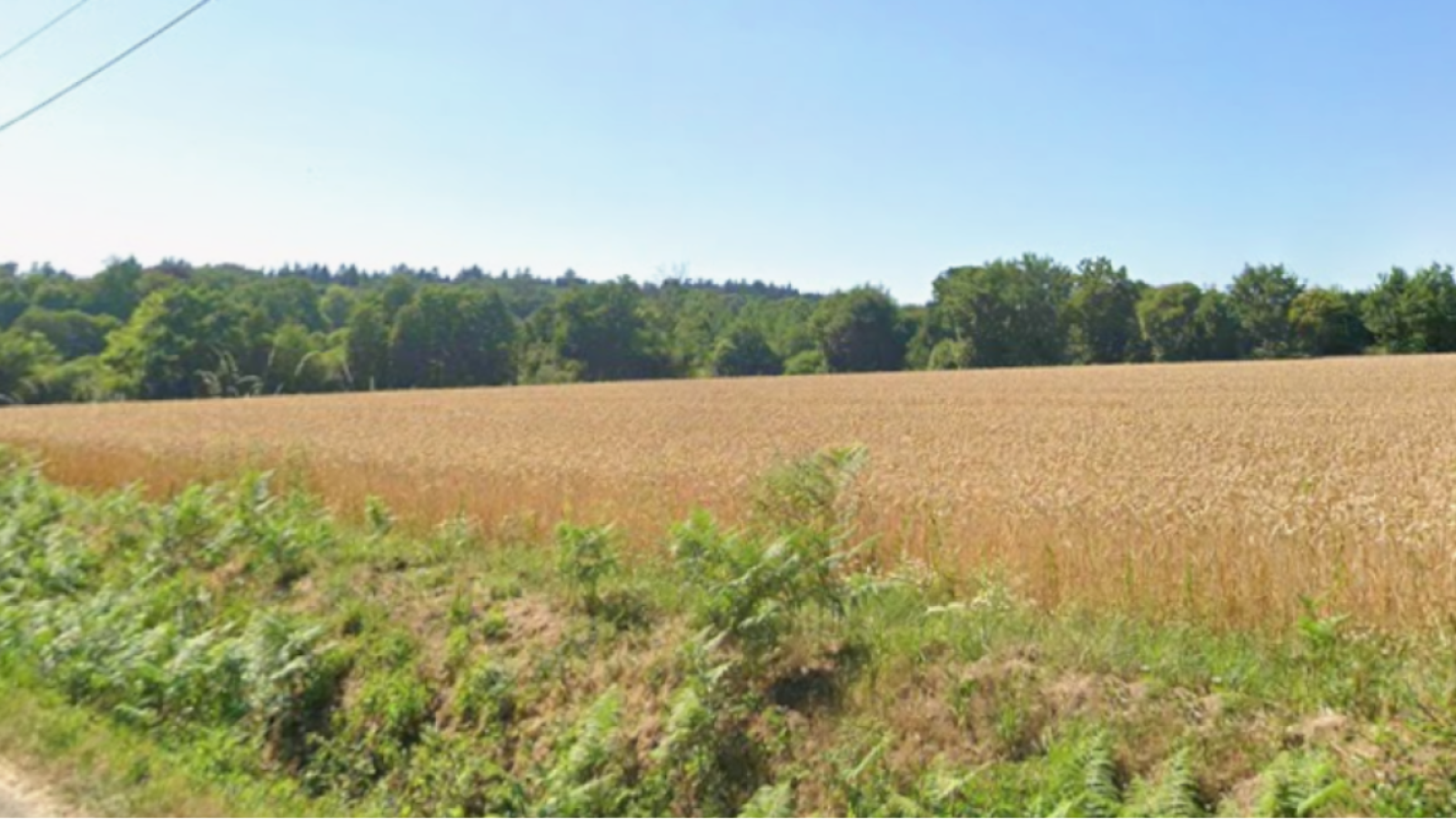 Terrain constructible de 264m2 à Québriac/ image 1