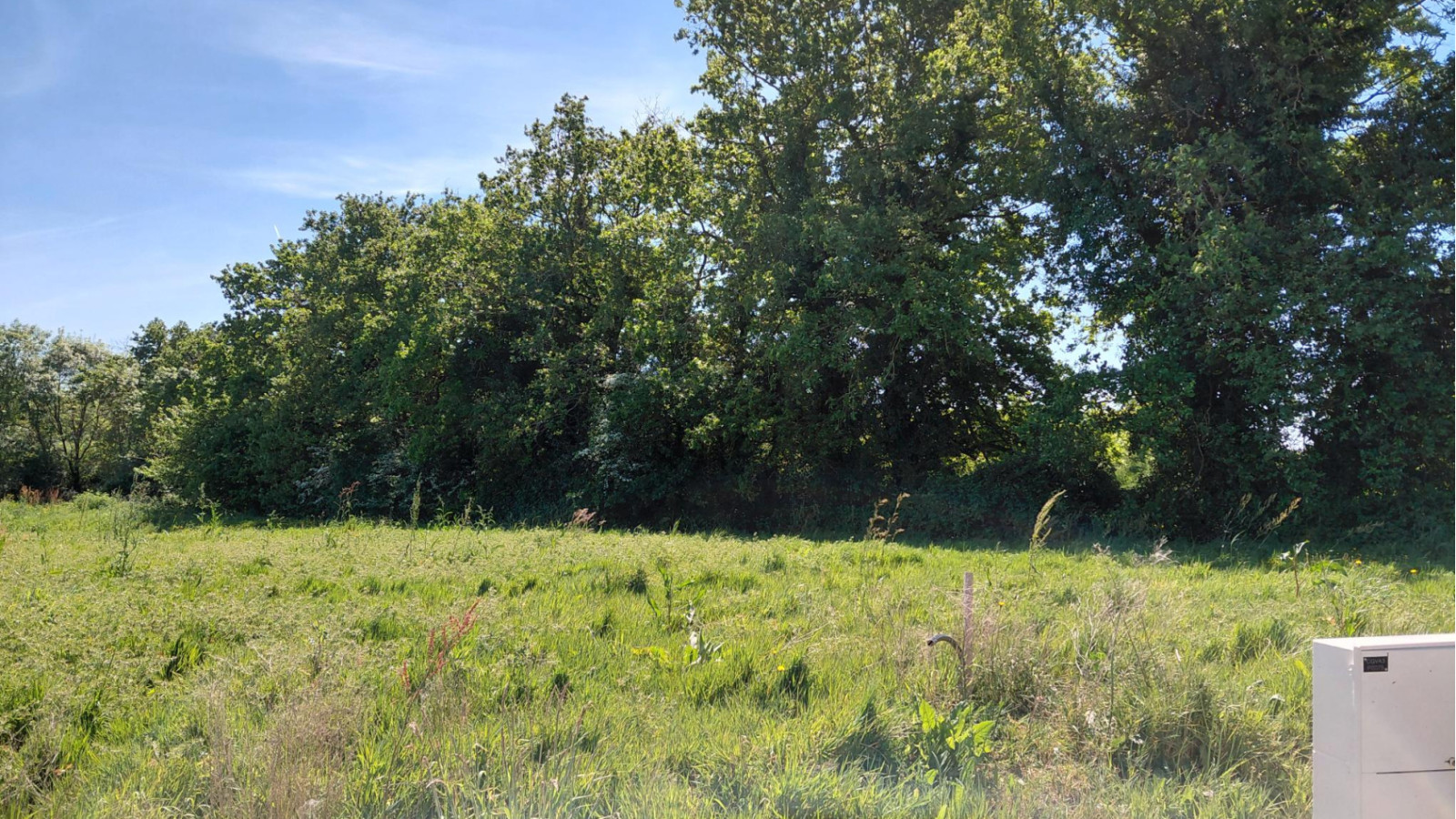 Terrain constructible de 295m2 à Mouchamps/ image 1