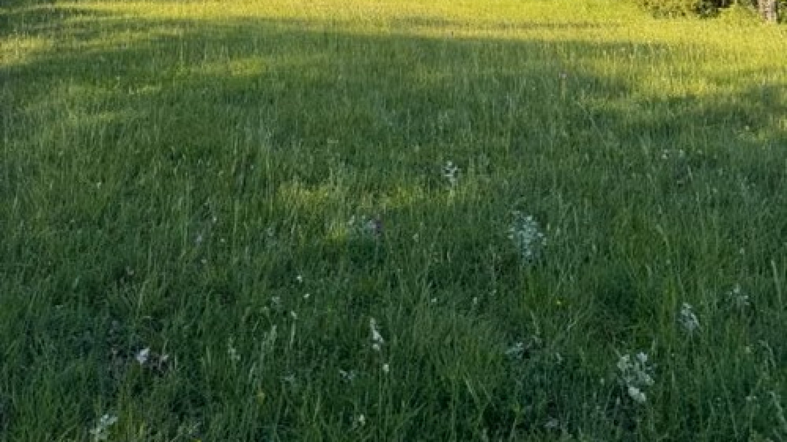 Terrain constructible de 406m2 à Legé/ image 1