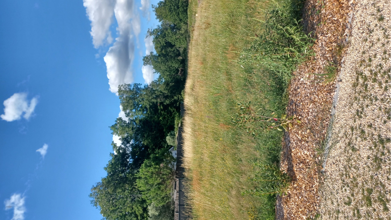 Terrain constructible de 648m2 à Landiras/ image 1