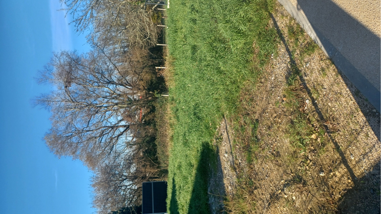 Terrain constructible de 600m2 à Artigues-près-Bordeaux/ image 1