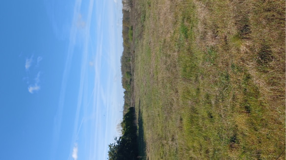 20260326_095323.jpg