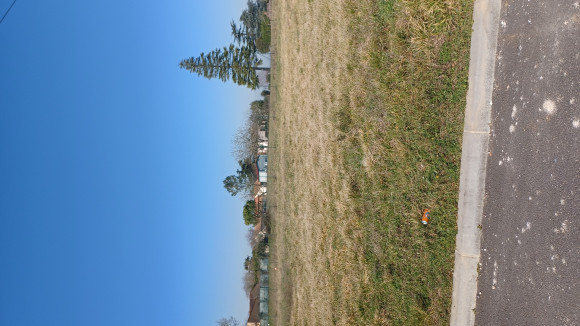 20250217_125204.jpg