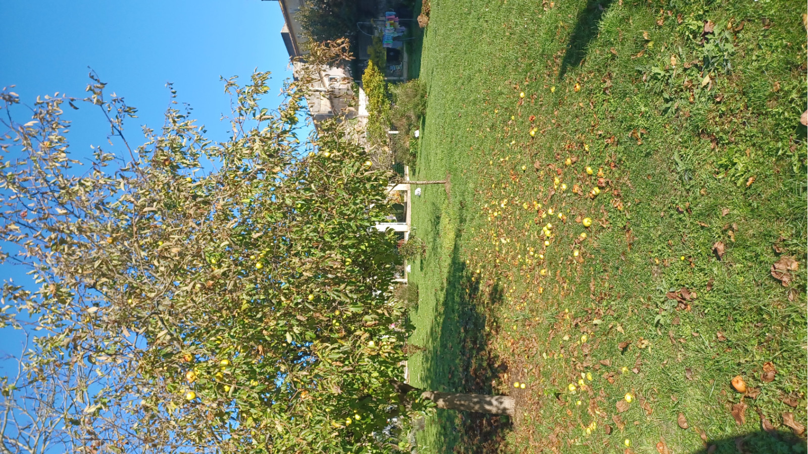 Terrain constructible de 600m2 à Bassens/ image 1