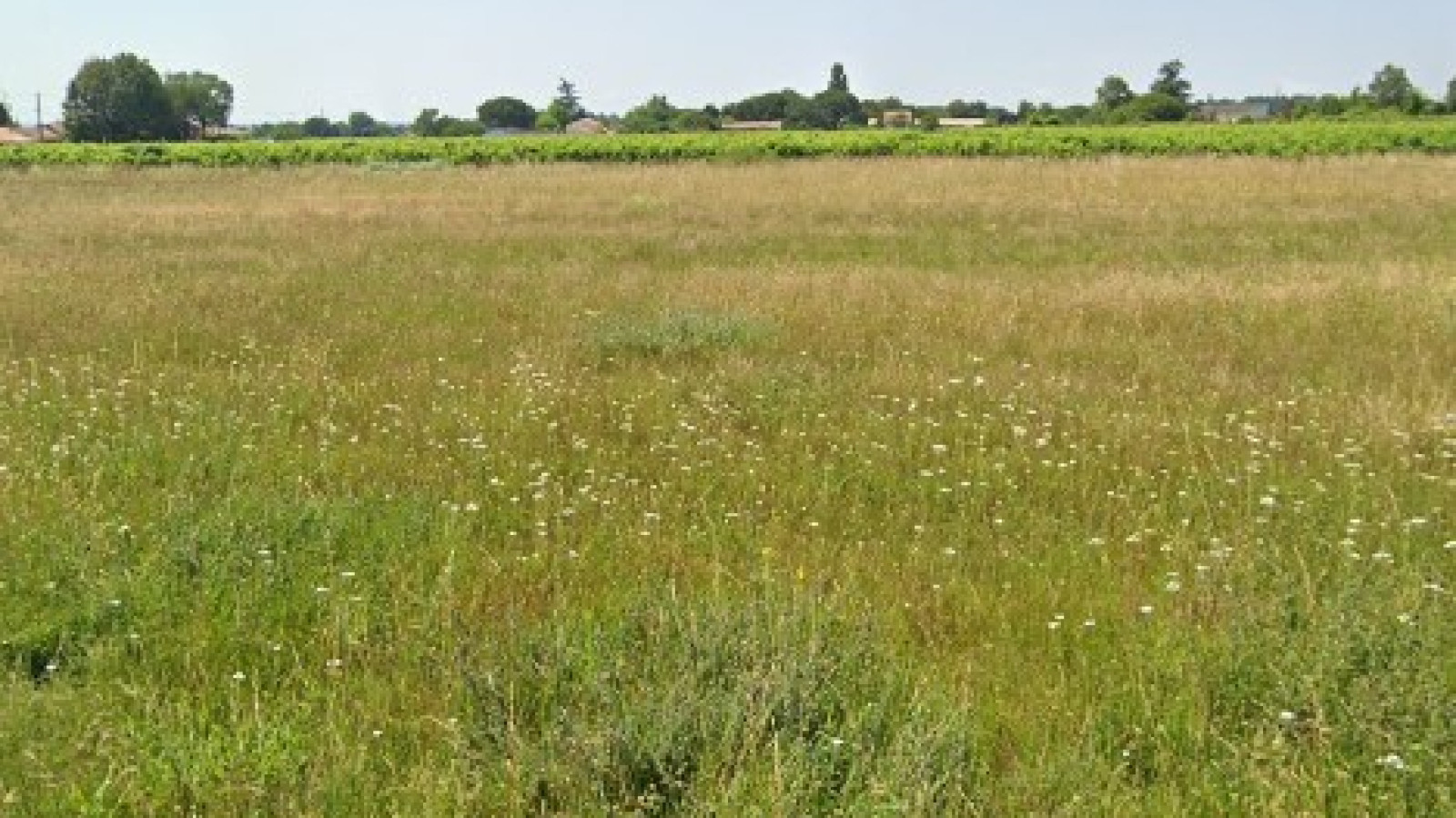 Terrain constructible de 404m2 à Prignac-et-Marcamps/ image 1