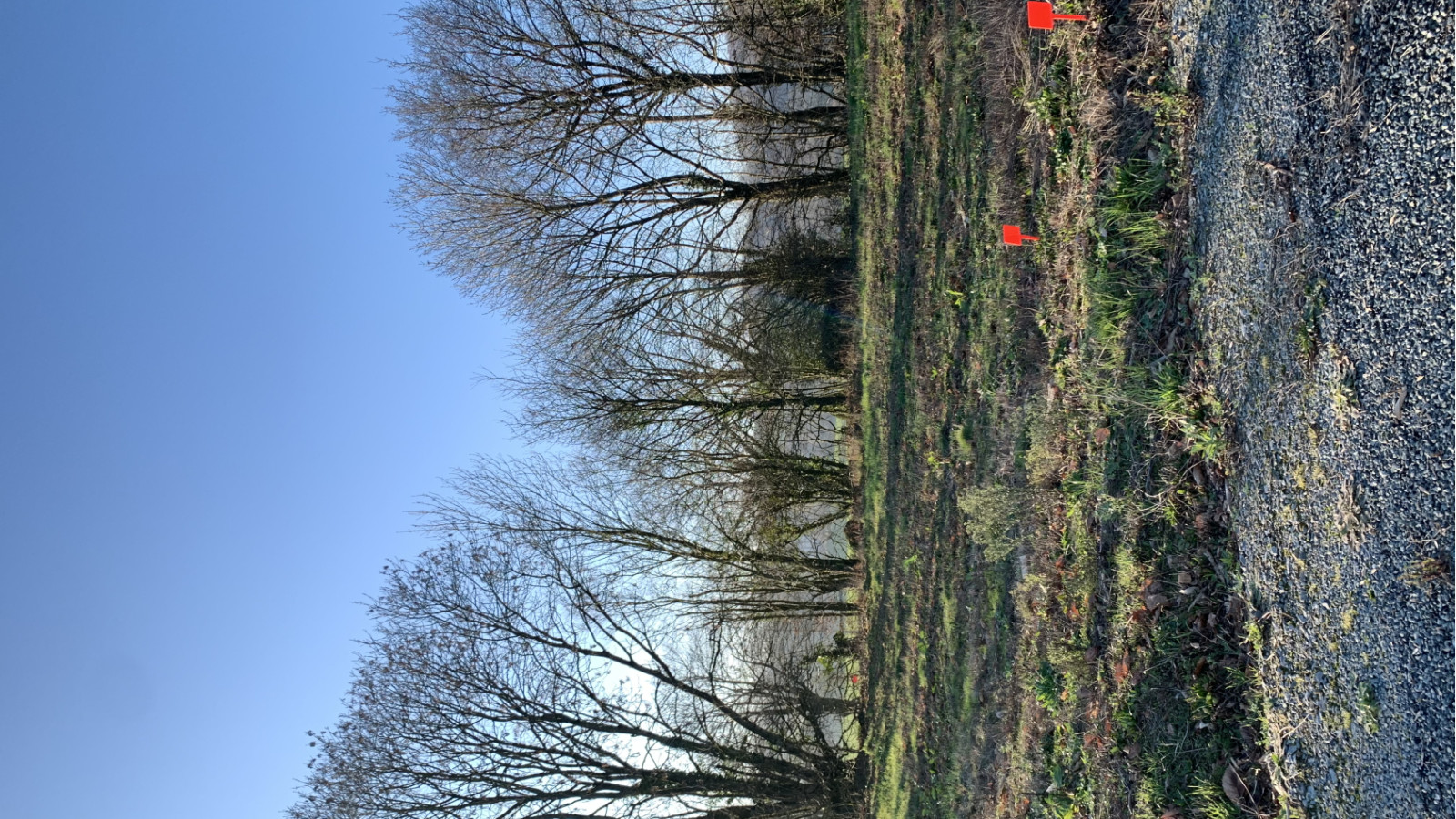 Terrain constructible de 361m2 à Bellevigny/ image 1