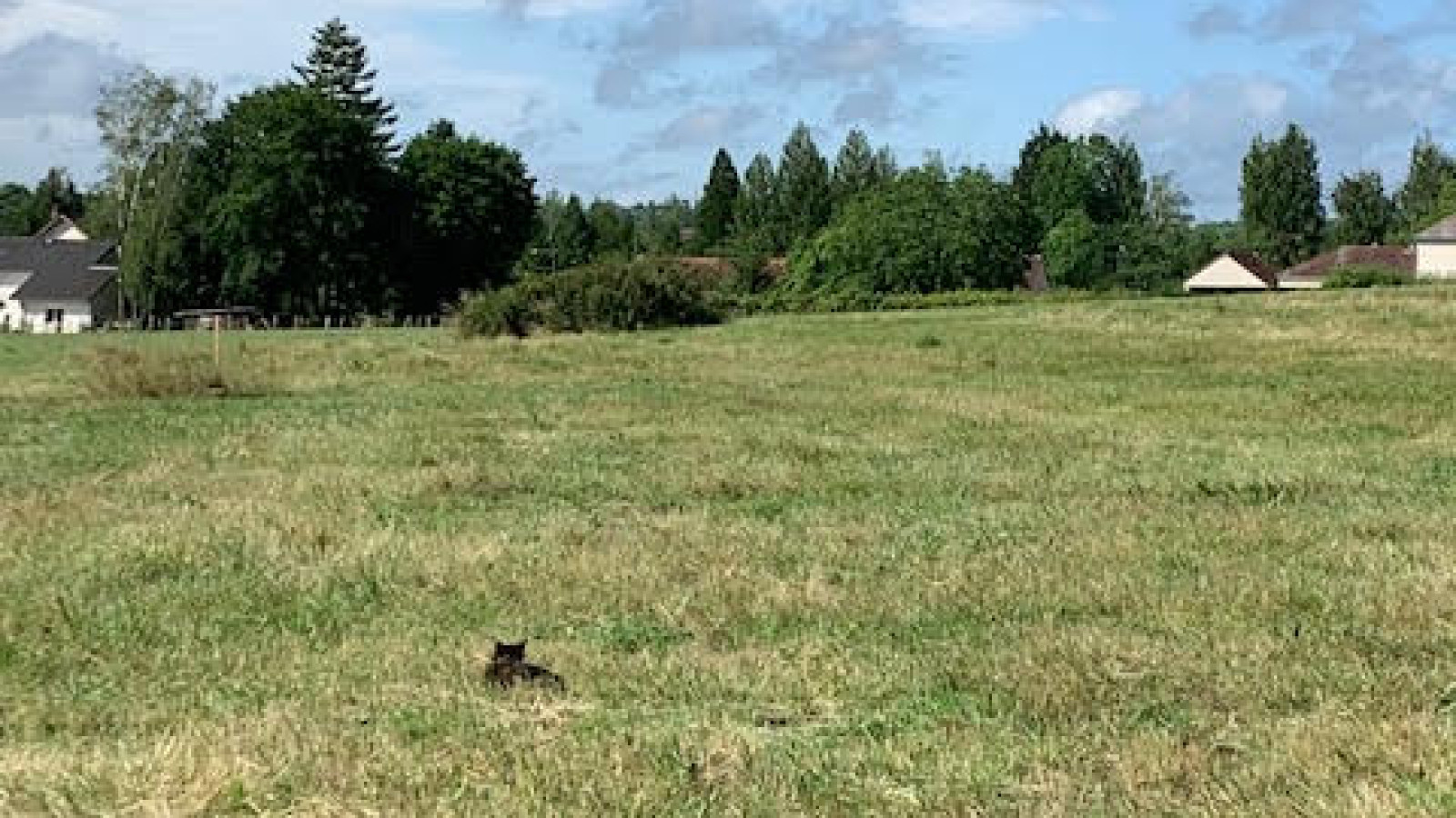 Terrain constructible de 660m2 à Maxilly-sur-Saône/ image 1