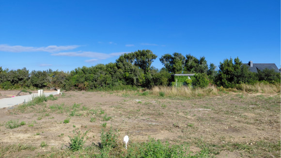 20260702_185744.jpg