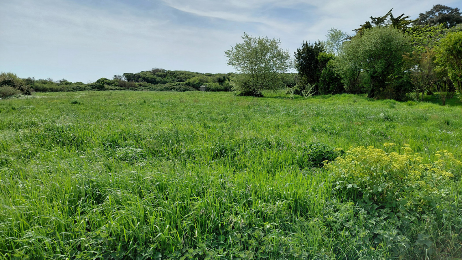 Terrain constructible de 278m2 à Gâvres/ image 1