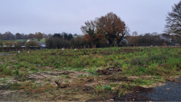 t14.jpg