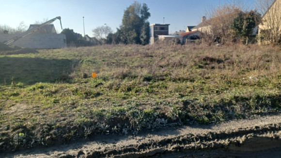 20230207_154248.jpg