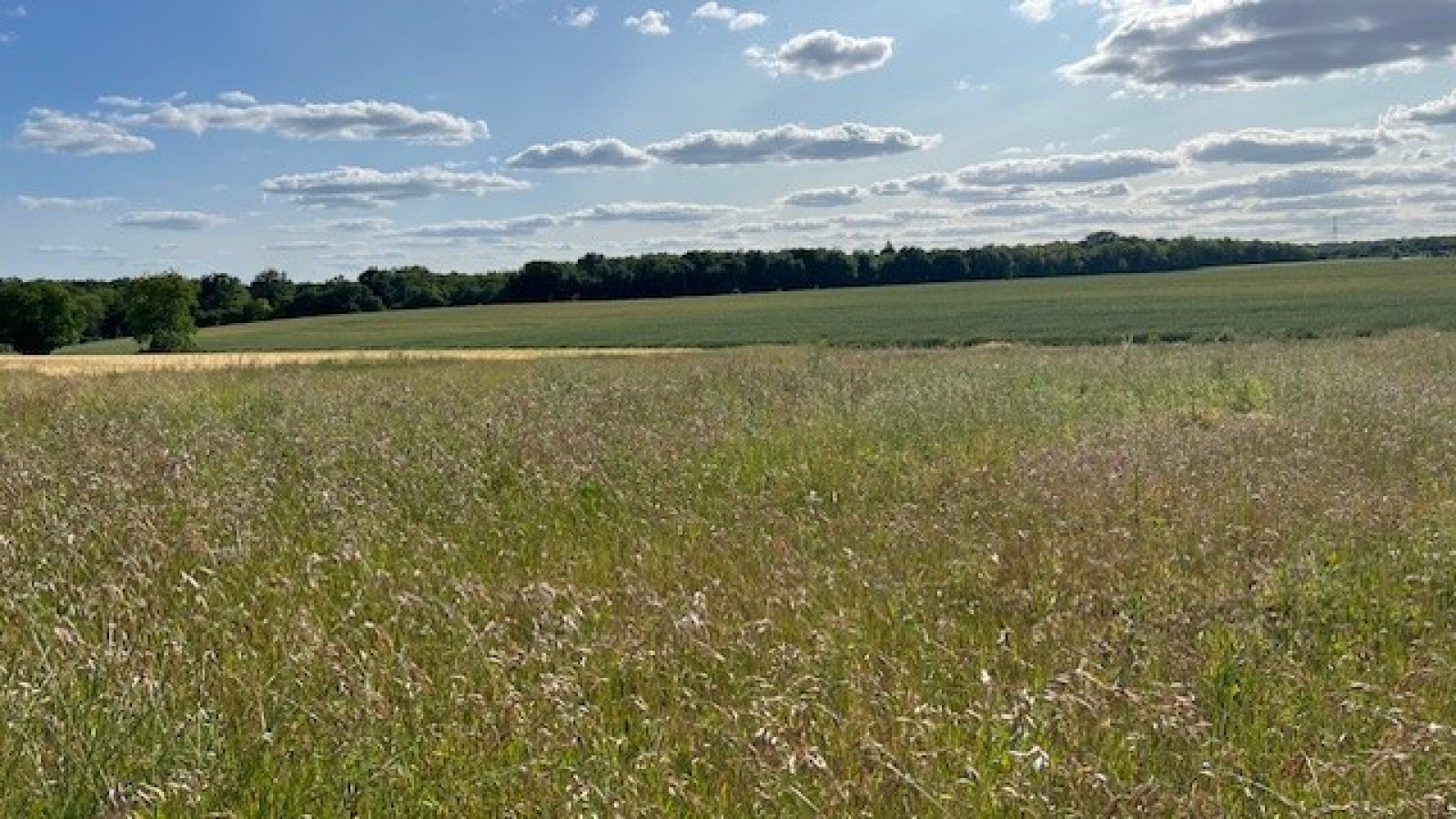 Terrain constructible de 971m2 à Rouziers-de-Touraine/ image 1