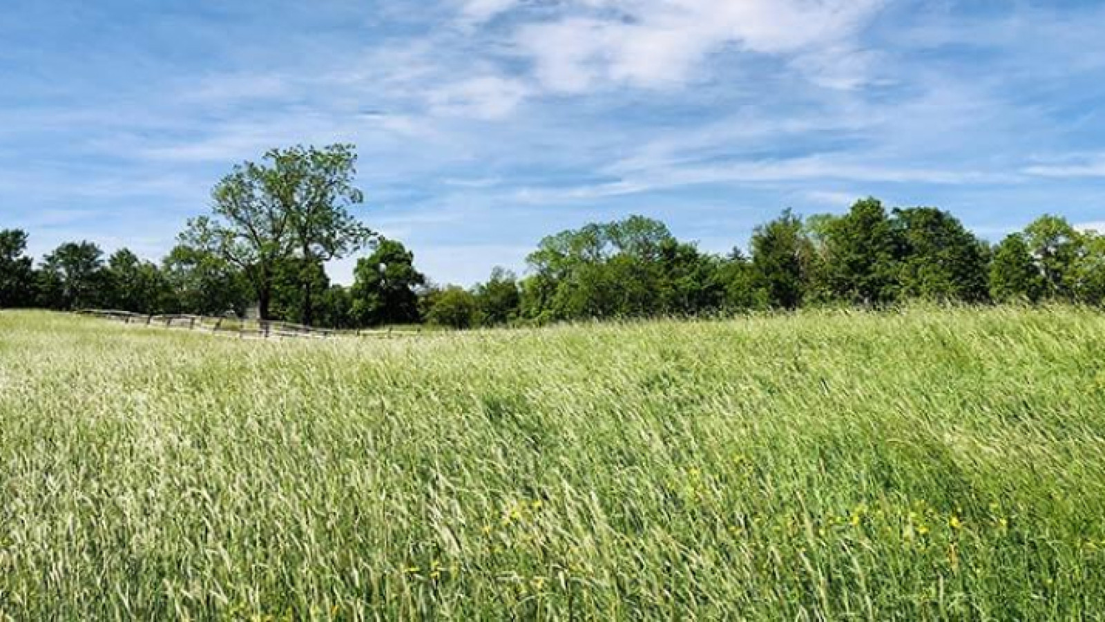 Terrain constructible de 580m2 à Saint-Paterne-Racan/ image 1
