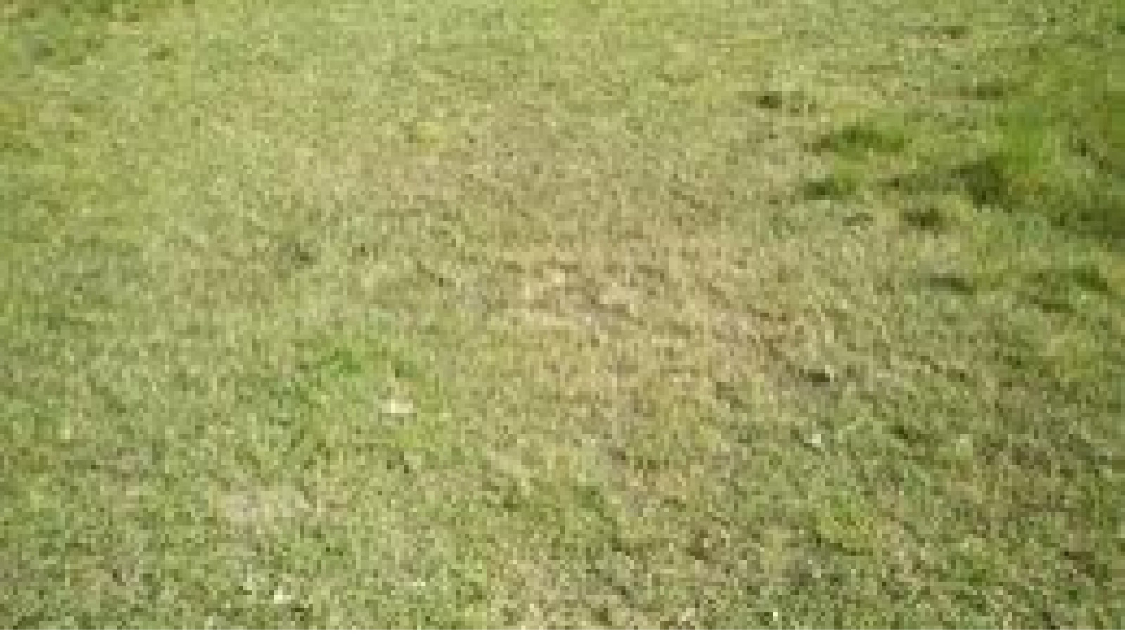 Terrain constructible de 590m2 à Mettray/ image 1