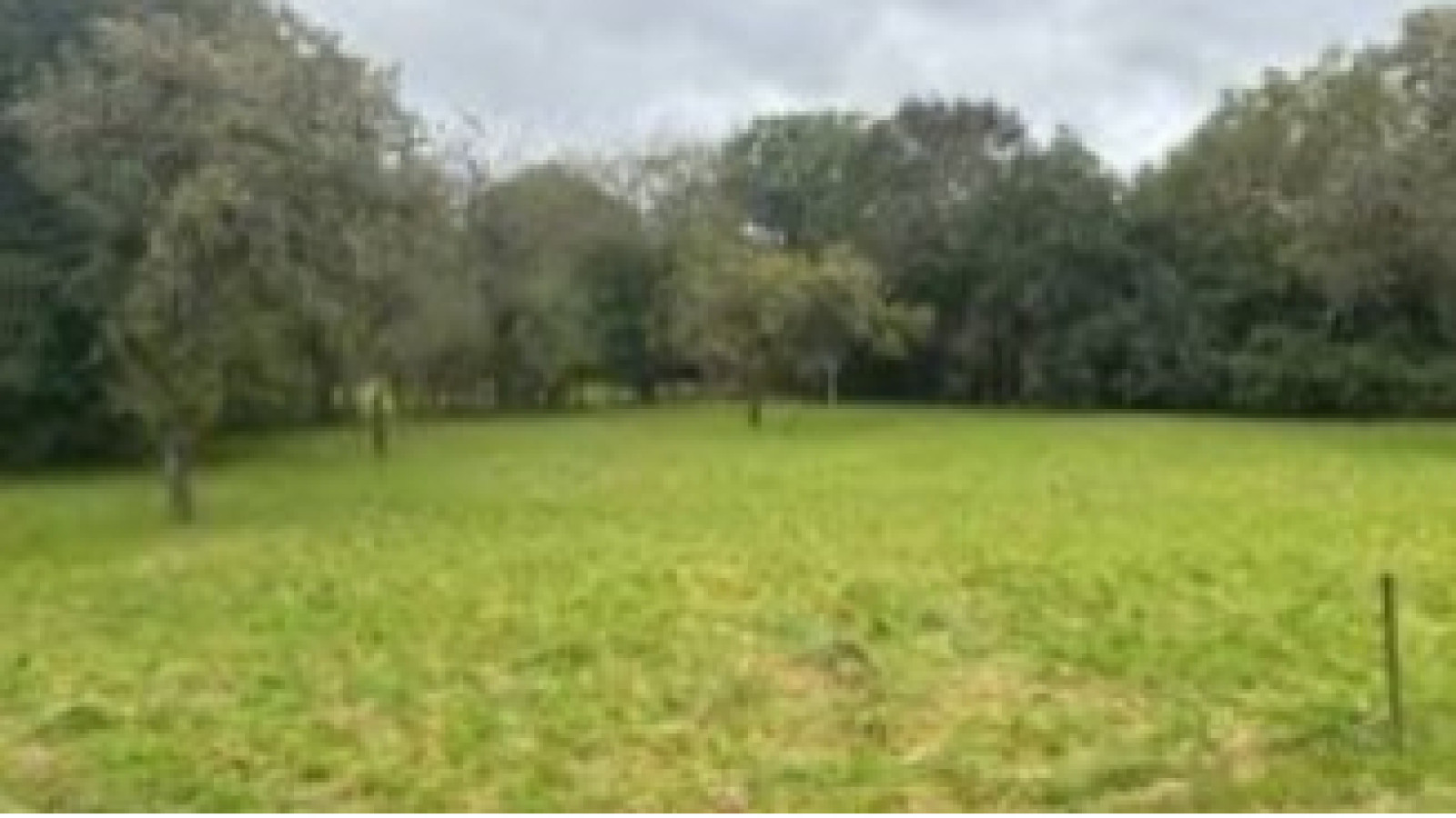 Terrain constructible de 1600m2 à Venoy/ image 1
