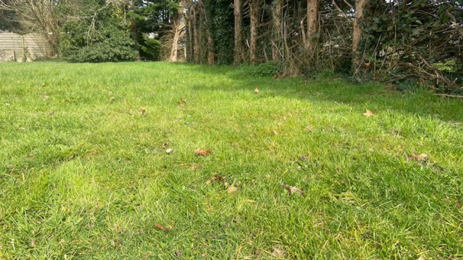Terrain constructible de 1230m2 à Pontchâteau/ image 1