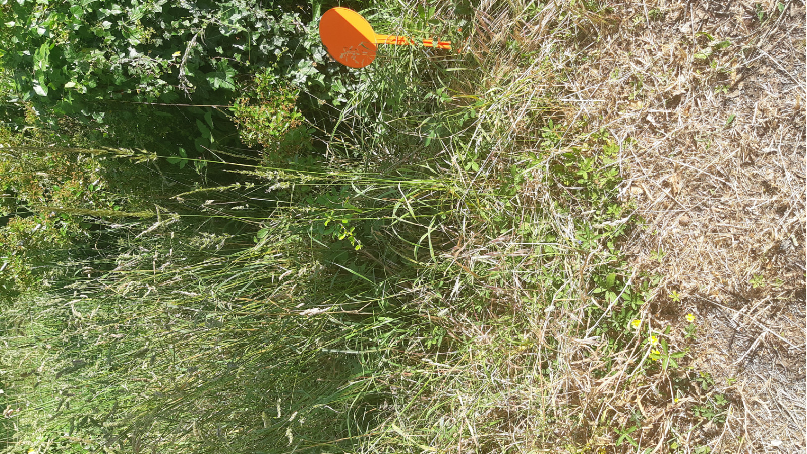 Terrain constructible de 1230m2 à La Chapelle-des-Marais/ image 1