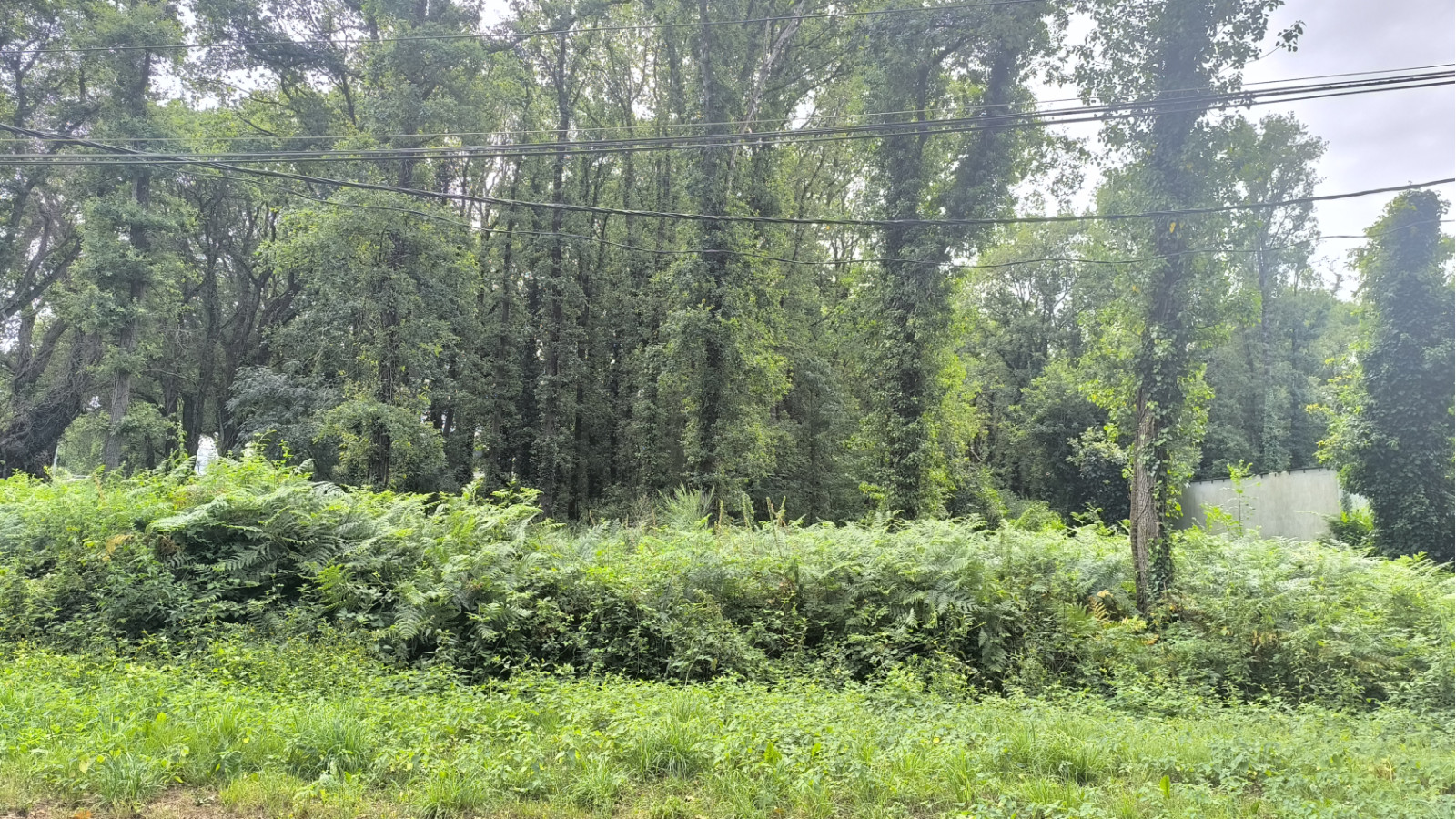 Terrain constructible de 485m2 à Mesquer/ image 1