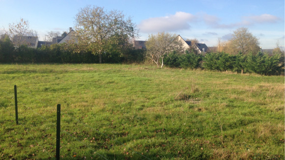 291 - Copie.JPG