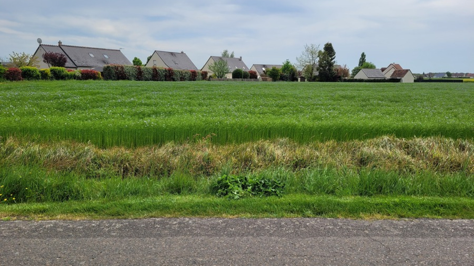 Terrain constructible de 600m2 à Saint-Laurent-en-Gâtines/ image 1