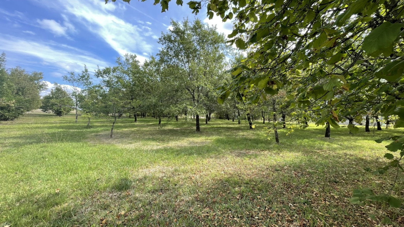 Terrain constructible de 1850m2 à Bonnes/ image 1