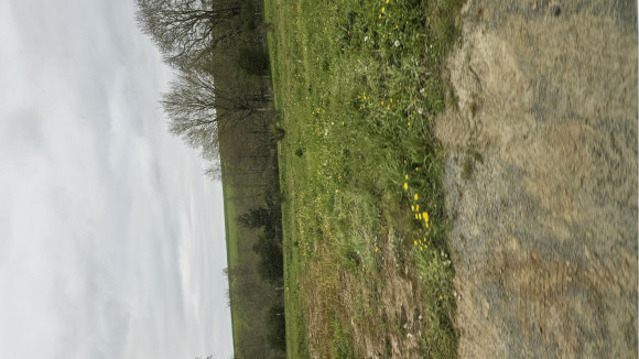 terrain 2.jpg