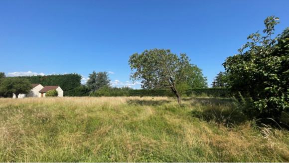 photo terrain.jpg