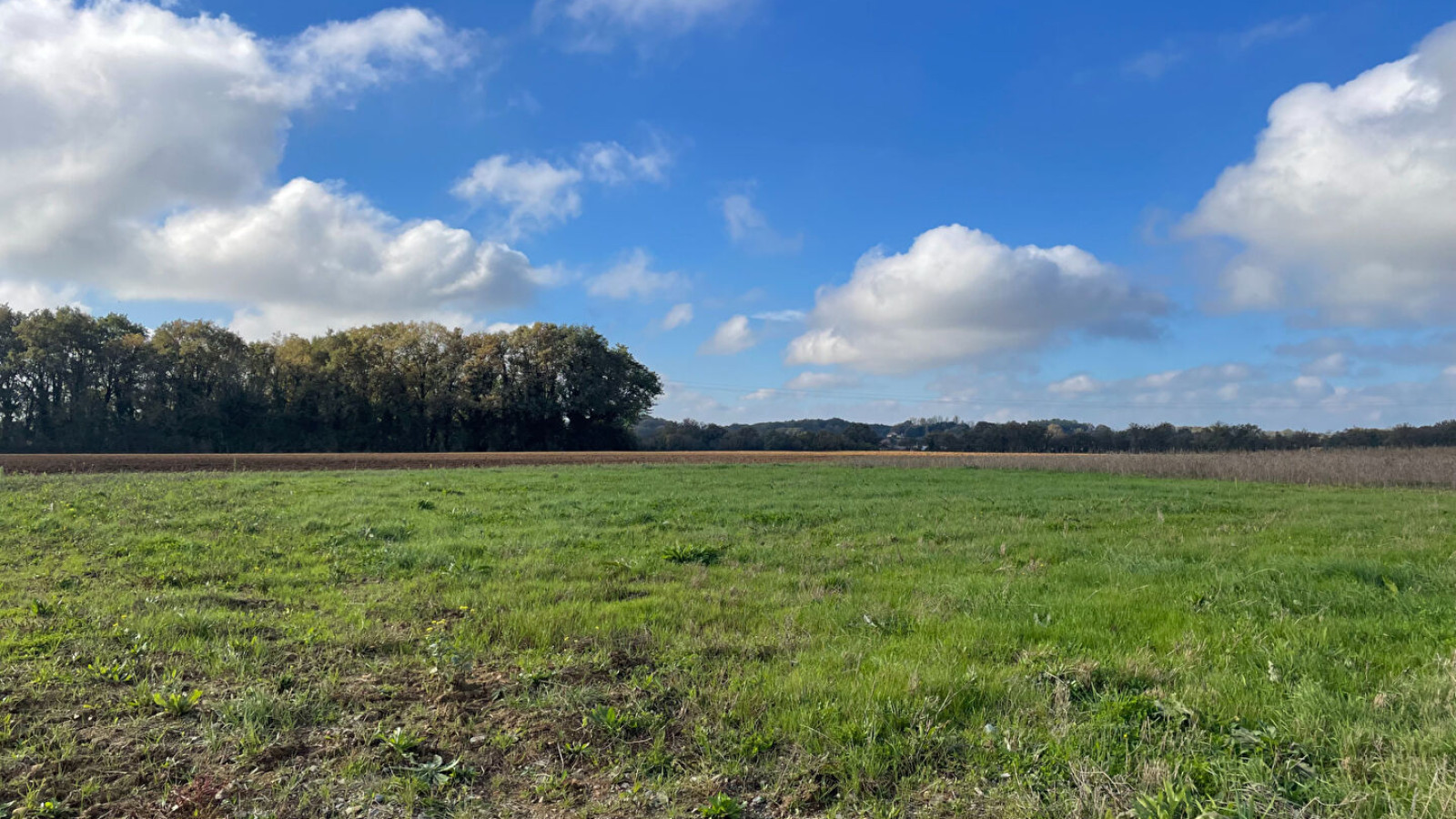 Terrain constructible de 455m2 à Nouaillé-Maupertuis/ image 1