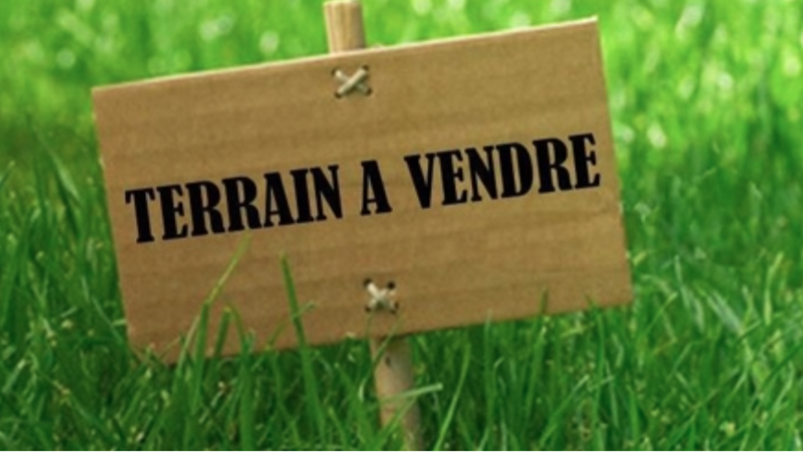Terrain constructible de 706m2 à Saumur/ image 1