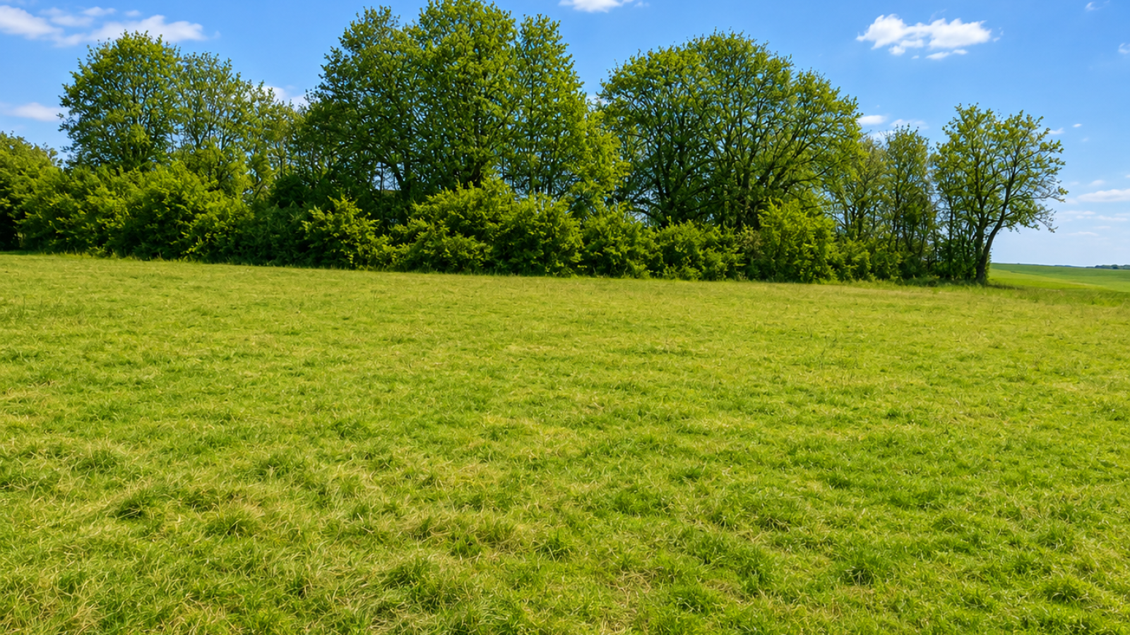 Terrain constructible de 583m2 à Pasques/ image 1