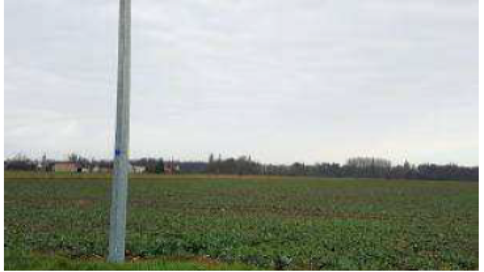 Terrain constructible de 1056m2 à Germigny-des-Prés/ image 1