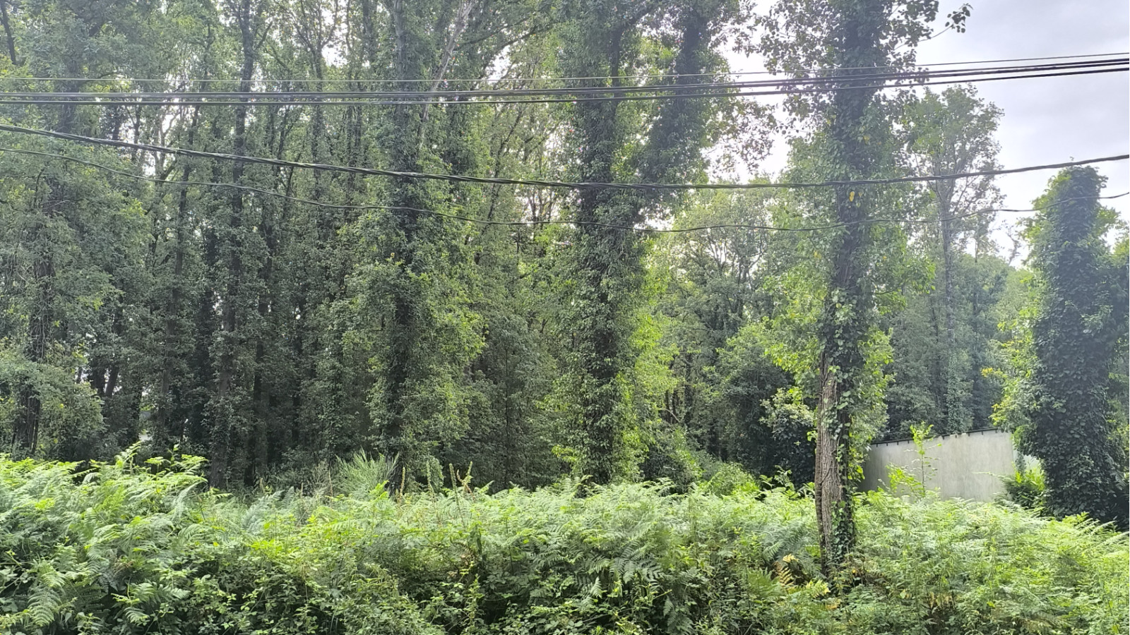 Terrain constructible de 1100m2 à Saint-Joachim/ image 1