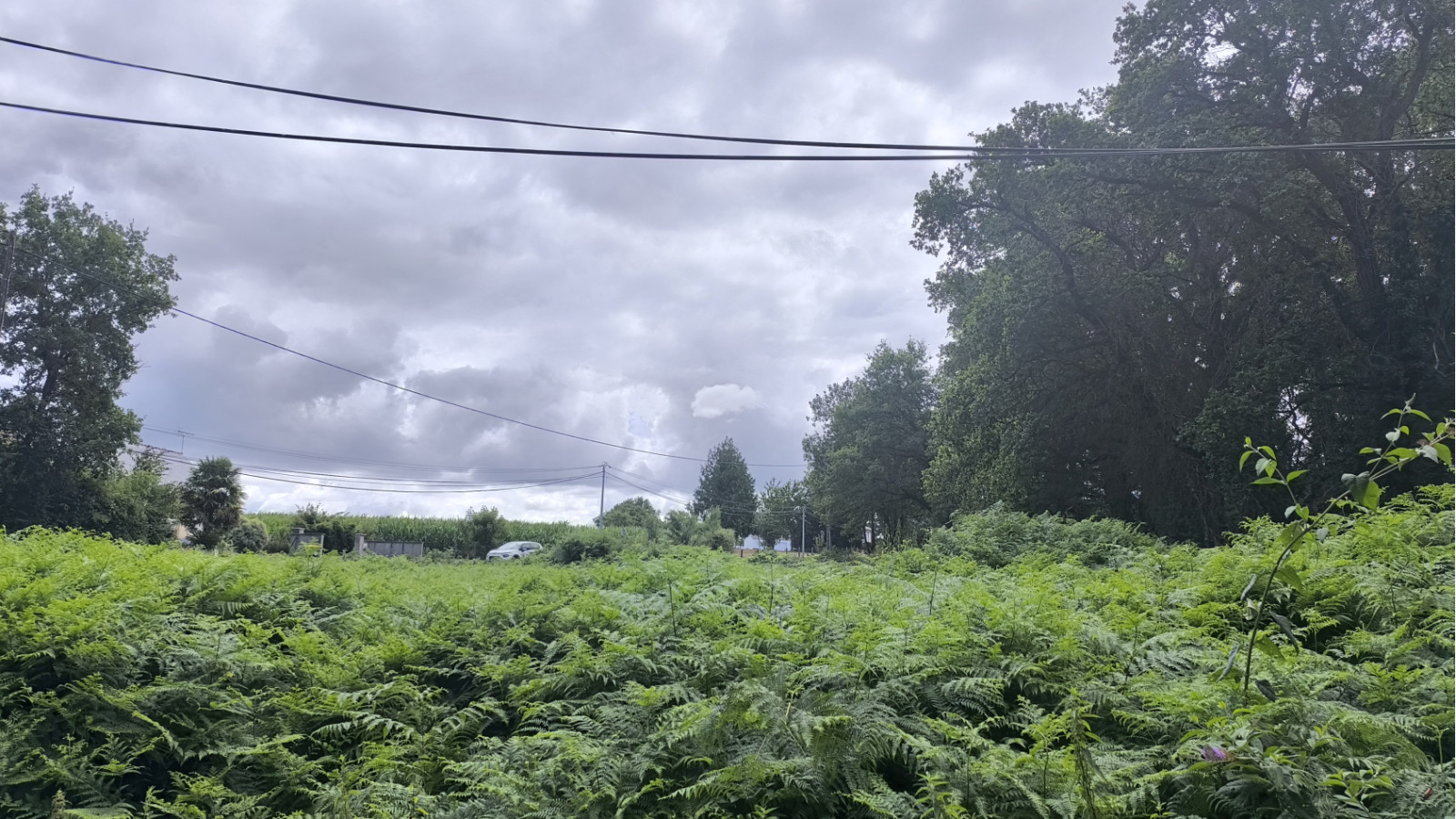 Terrain constructible de 600m2 à Saint-Joachim/ image 1