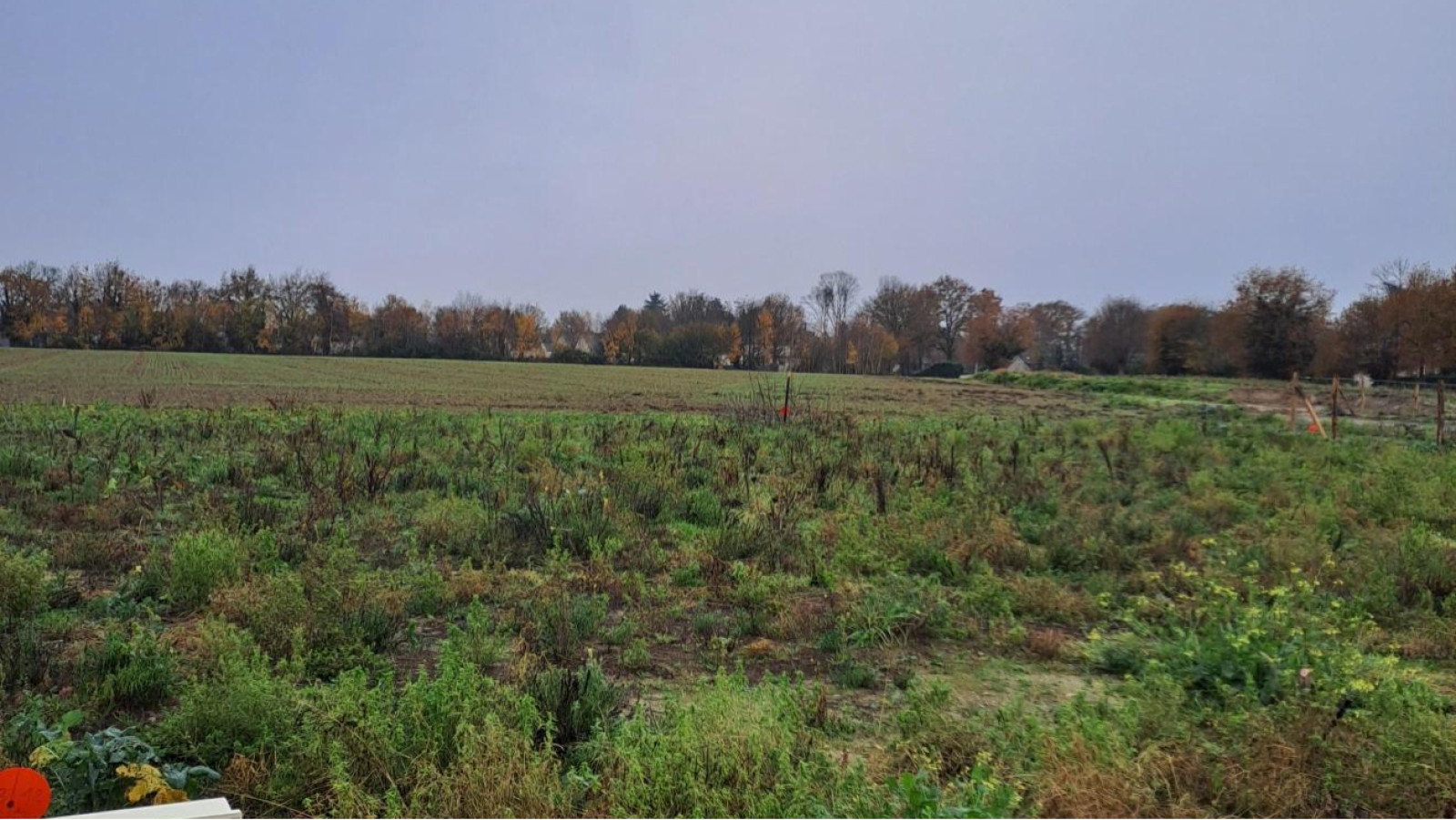 Terrain constructible de 315m2 à Segré-en-Anjou Bleu/ image 1
