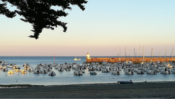 port-de-st-jacques.jpg