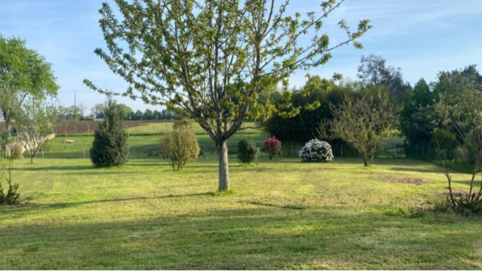 Terrain constructible de 441m2 à Le Cours/ image 1