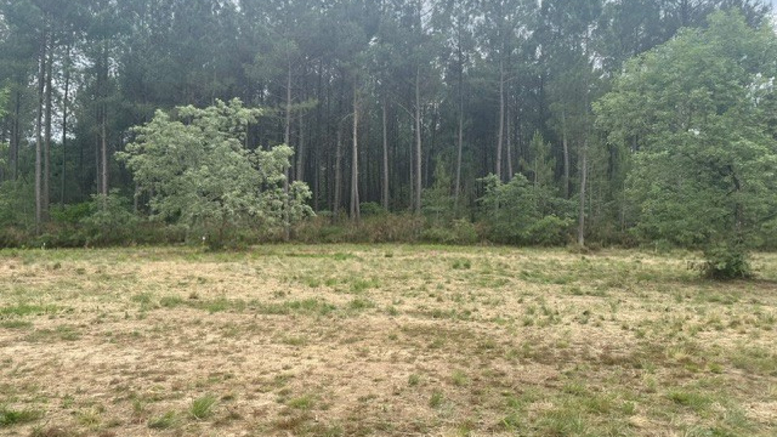 Terrain constructible de 695m2 à Saint-Martin-d'Oney/ image 1