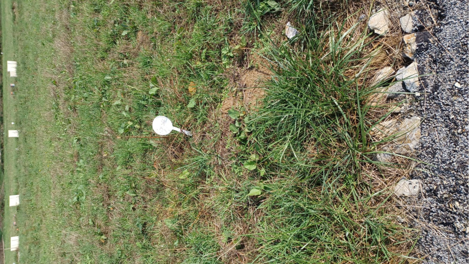 Terrain constructible de 298m2 à Cintré/ image 1