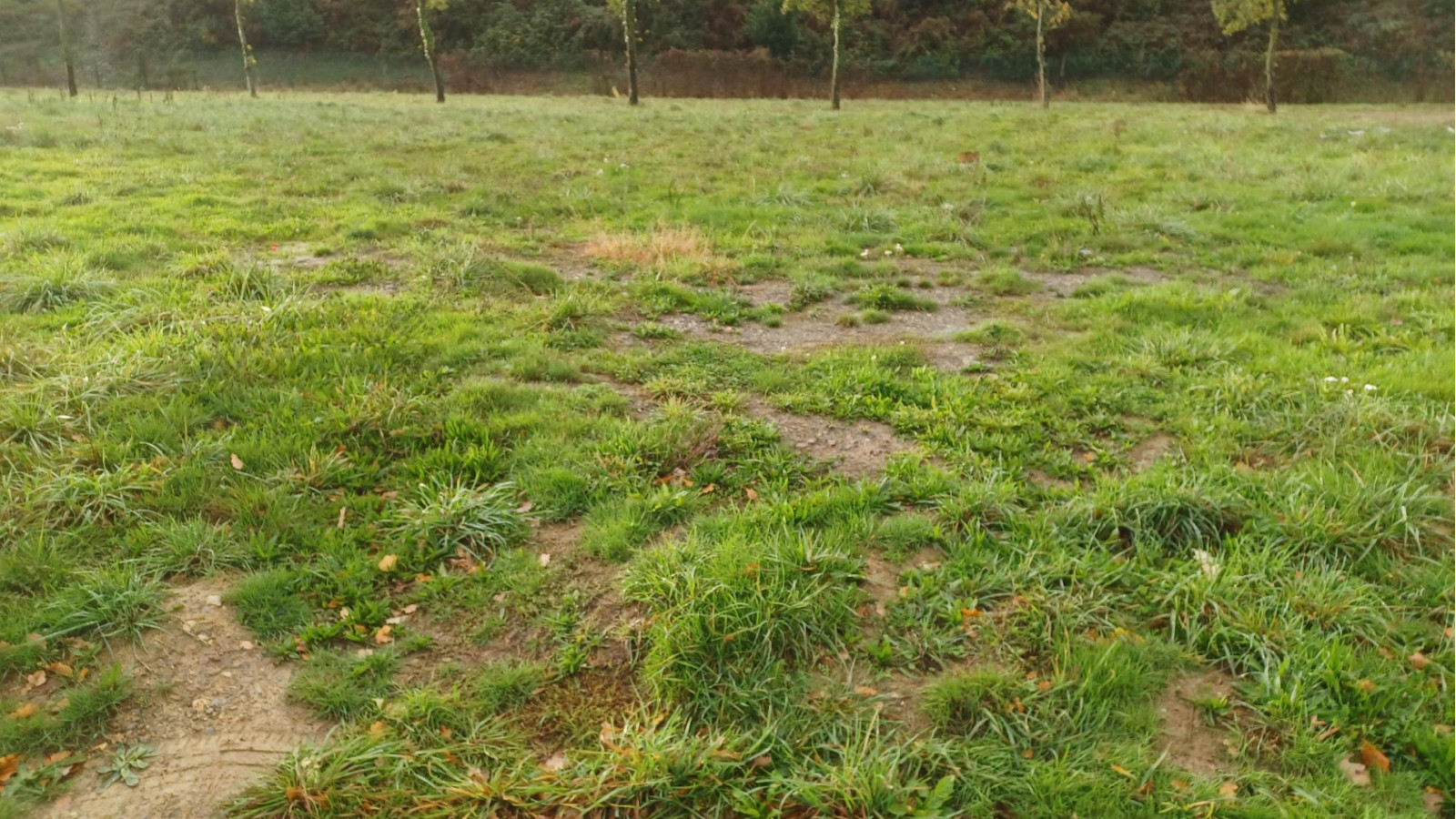 Terrain constructible de 318m2 à Québriac/ image 1