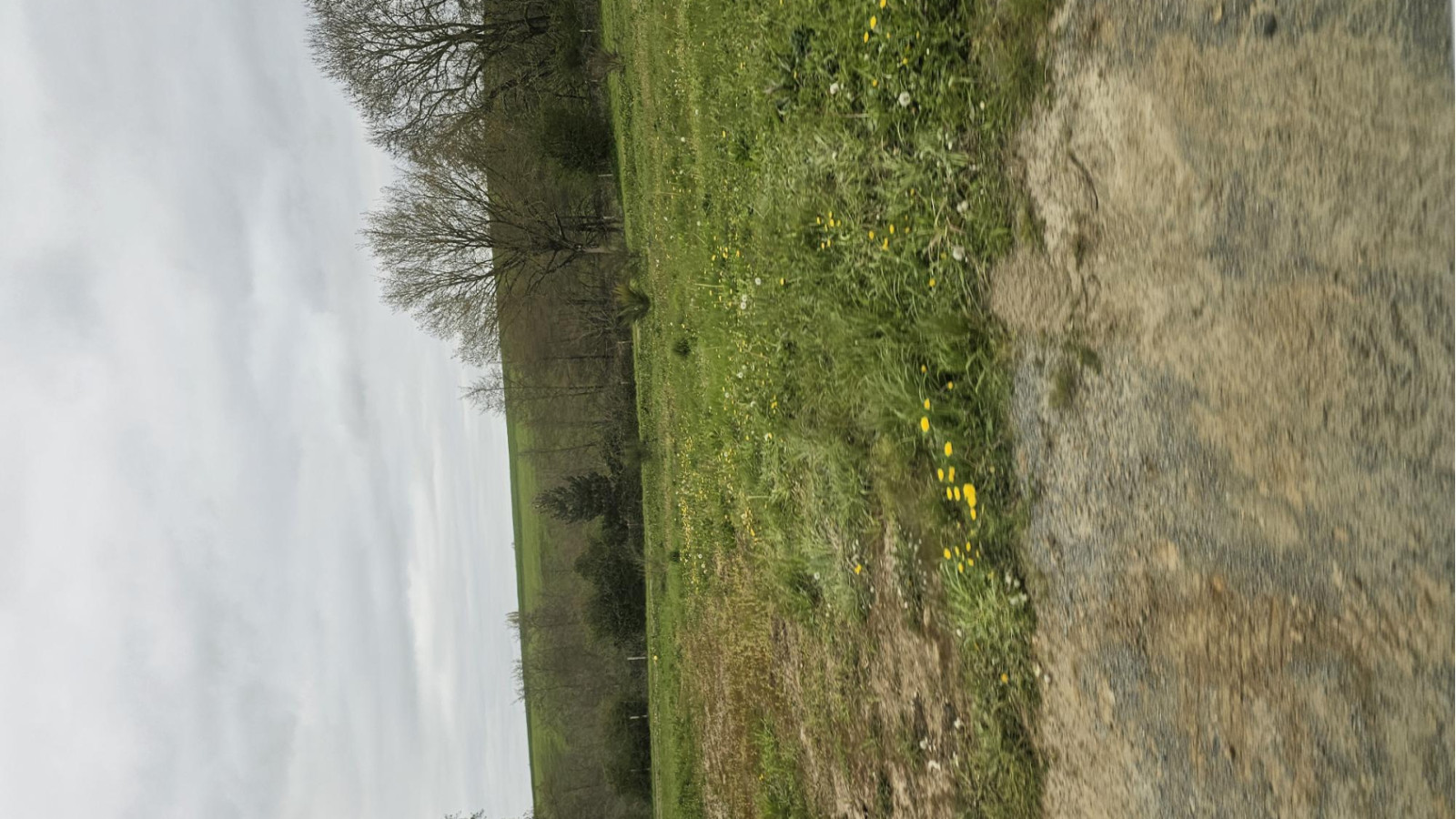 Terrain constructible de 300m2 à La Séguinière/ image 1