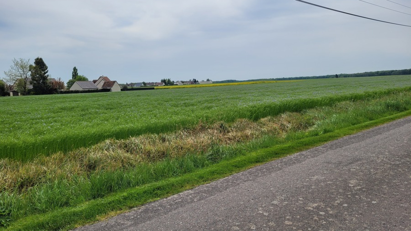 Terrain constructible de 600m2 à Saint-Laurent-en-Gâtines/ image 1