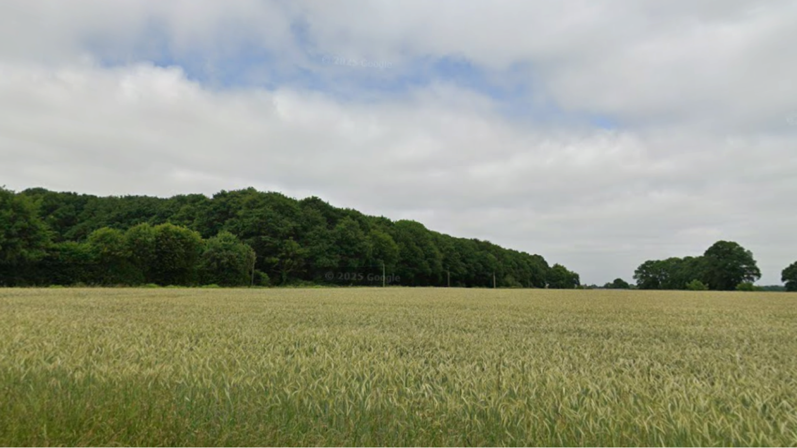 Terrain constructible de 698m2 à Saint-Sauveur-des-Landes/ image 1