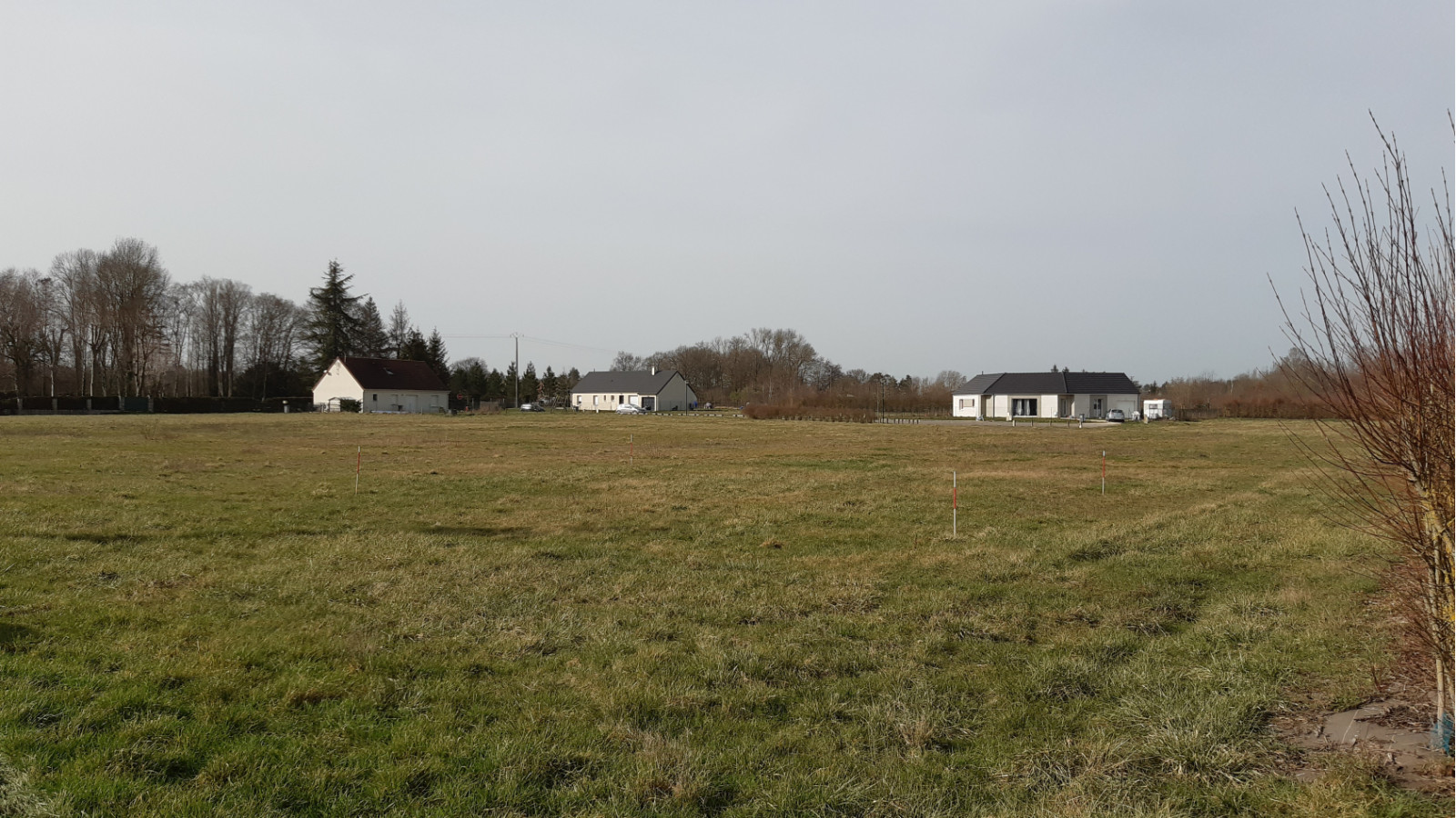 Terrain constructible de 1441m2 à La Cour-Marigny/ image 1
