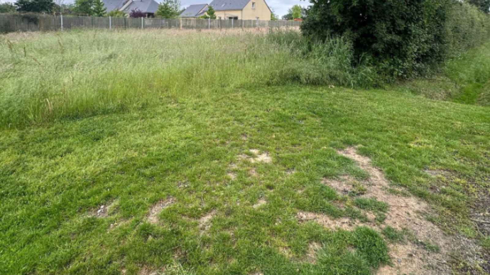 Terrain constructible de 727m2 à Bellevigne-en-Layon/ image 1
