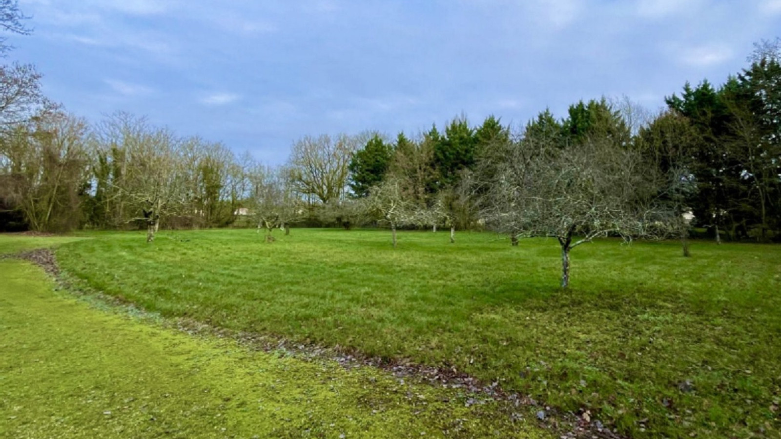 Terrain constructible de 2650m2 à Châtellerault/ image 1
