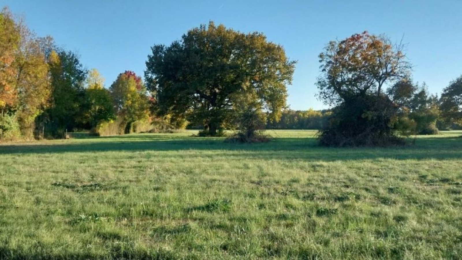Terrain constructible de 630m2 à Saint-Laurent-d'Arce/ image 1