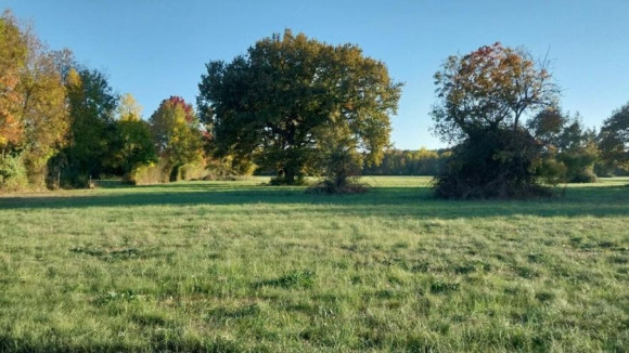St Médard de Guizières 2.jpg