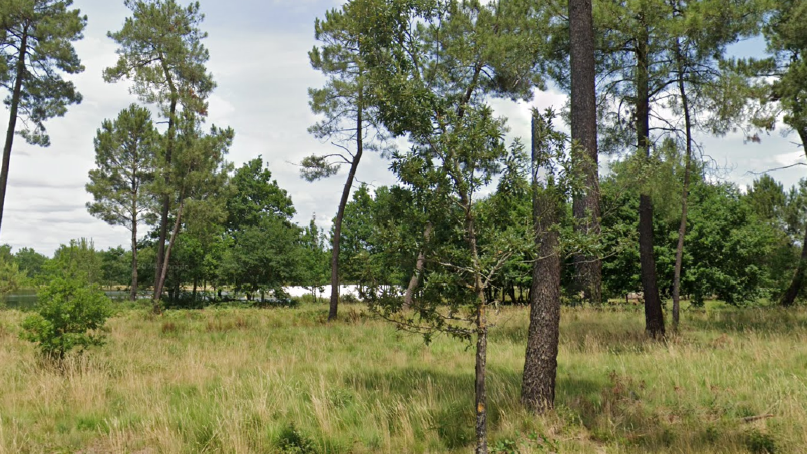 Terrain constructible de 508m2 à Sanguinet/ image 1