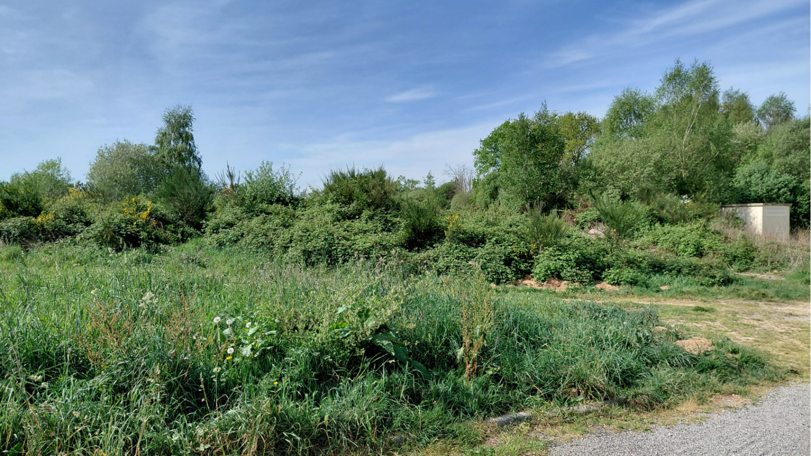 Terrain constructible de 1080m2 à Brandérion/ image 1