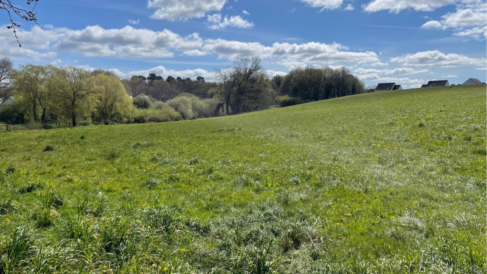 Terrain constructible de 630m2 à Quimperlé/ image 1